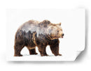 Espíritu del oso del bosque - Angyalosi Beata | Cuadro decorativo de Canvas Lab