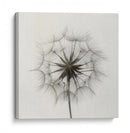 Delicada caricia semilla de diente de león - Lotte Gronkjar | Cuadro decorativo de Canvas Lab