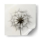 Delicada caricia semilla de diente de león - Lotte Gronkjar | Cuadro decorativo de Canvas Lab
