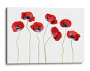 Elegantes amapolas de mariquita - Mandy Disher | Cuadro decorativo de Canvas Lab