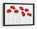 Elegantes amapolas de mariquita - Mandy Disher | Cuadro decorativo de Canvas Lab