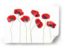 Elegantes amapolas de mariquita - Mandy Disher | Cuadro decorativo de Canvas Lab