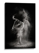 Danza elegante sobre nieve - Shades and Light | Cuadro decorativo de Canvas Lab