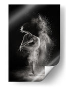 Danza elegante sobre nieve - Shades and Light | Cuadro decorativo de Canvas Lab
