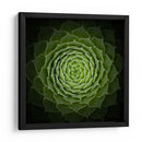 Espiral verde suculenta - Victor Mozqueda | Cuadro decorativo de Canvas Lab