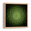 Espiral verde suculenta - Victor Mozqueda | Cuadro decorativo de Canvas Lab