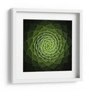Espiral verde suculenta - Victor Mozqueda | Cuadro decorativo de Canvas Lab