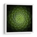 Espiral verde suculenta - Victor Mozqueda | Cuadro decorativo de Canvas Lab