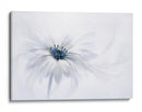 Delicada flor blanca - Jacky Parker | Cuadro decorativo de Canvas Lab