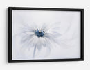 Delicada flor blanca - Jacky Parker | Cuadro decorativo de Canvas Lab