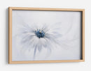Delicada flor blanca - Jacky Parker | Cuadro decorativo de Canvas Lab
