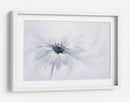 Delicada flor blanca - Jacky Parker | Cuadro decorativo de Canvas Lab