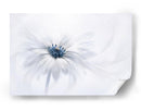 Delicada flor blanca - Jacky Parker | Cuadro decorativo de Canvas Lab