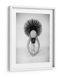 Elegante pose simétrica de bailarina - Pauline Pentony MA | Cuadro decorativo de Canvas Lab