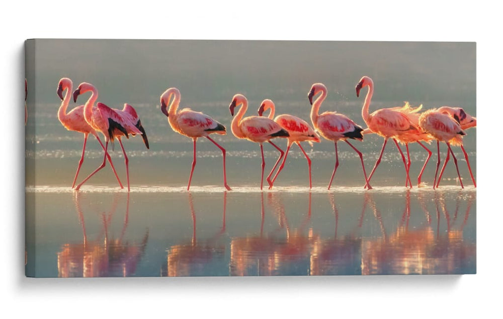 Flamencos rosados ​​elegantes - Phillip Chang | Cuadro decorativo de Canvas Lab