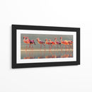 Flamencos rosados ​​elegantes - Phillip Chang | Cuadro decorativo de Canvas Lab