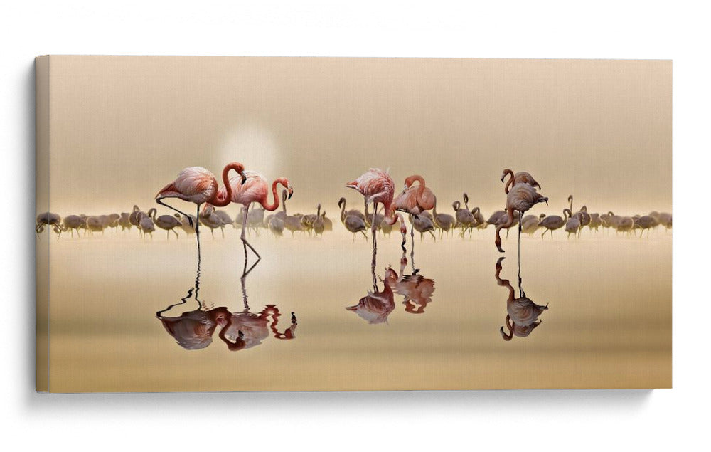 Flamencos a la hora dorada - NASSER OSMAN | Cuadro decorativo de Canvas Lab