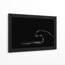Depredador brillante - Tudor Thomas | Cuadro decorativo de Canvas Lab