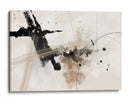 Gestos abstractos con tinta - Fluidys Studio II | Cuadro decorativo de Canvas Lab