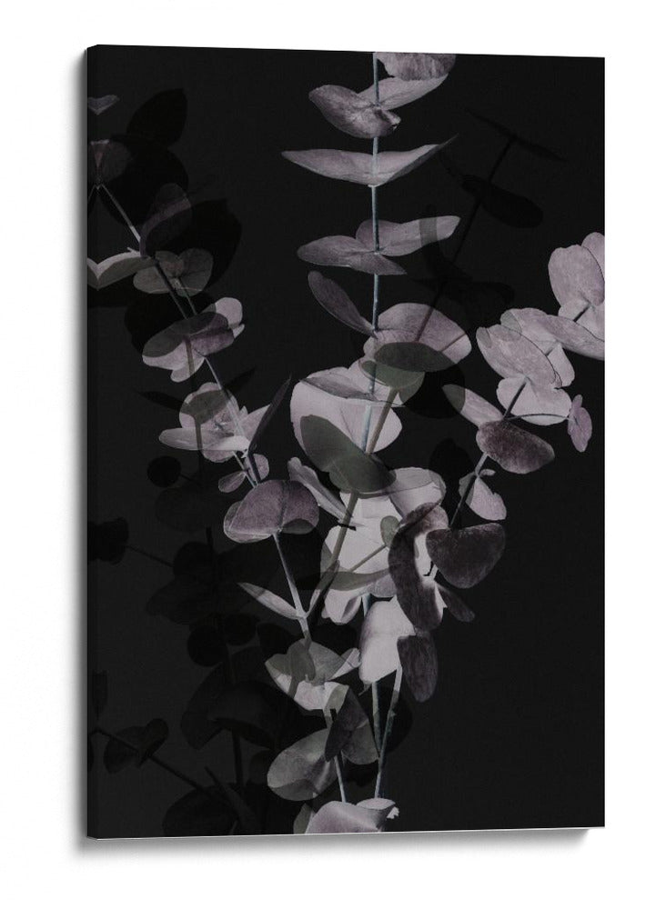 Hojas de eucalipto melancólicas - Fluidys Studio III | Cuadro decorativo de Canvas Lab