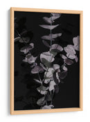 Hojas de eucalipto melancólicas - Fluidys Studio III | Cuadro decorativo de Canvas Lab