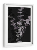 Hojas de eucalipto melancólicas - Fluidys Studio III | Cuadro decorativo de Canvas Lab