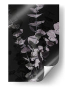 Hojas de eucalipto melancólicas - Fluidys Studio III | Cuadro decorativo de Canvas Lab