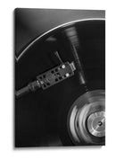 Disco de vinilo girando y bailando - Fluidys Studio III | Cuadro decorativo de Canvas Lab