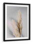 Hierba suave de las pampas - Fluidys Studio III | Cuadro decorativo de Canvas Lab
