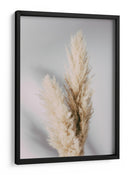 Hierba suave de las pampas - Fluidys Studio III | Cuadro decorativo de Canvas Lab