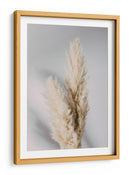 Hierba suave de las pampas - Fluidys Studio III | Cuadro decorativo de Canvas Lab