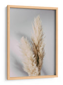 Hierba suave de las pampas - Fluidys Studio III | Cuadro decorativo de Canvas Lab