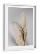 Hierba suave de las pampas - Fluidys Studio III | Cuadro decorativo de Canvas Lab