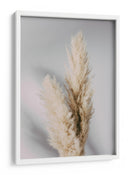 Hierba suave de las pampas - Fluidys Studio III | Cuadro decorativo de Canvas Lab