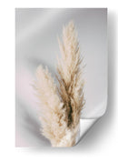 Hierba suave de las pampas - Fluidys Studio III | Cuadro decorativo de Canvas Lab