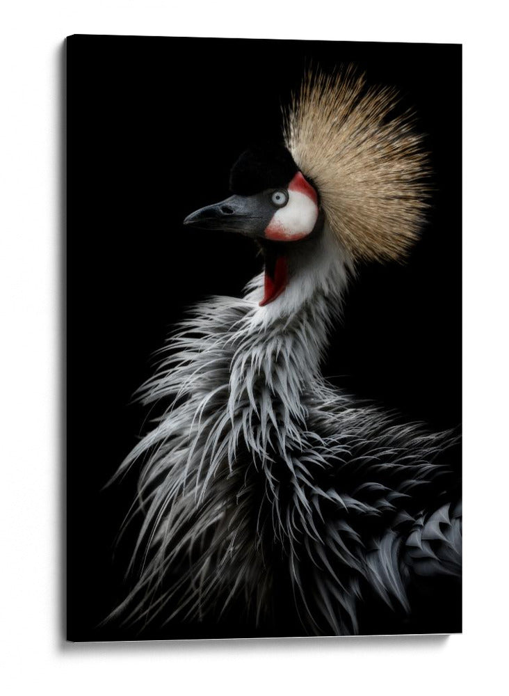 Grulla coronada dorada - Eiji Itoyama | Cuadro decorativo de Canvas Lab