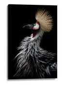 Grulla coronada dorada - Eiji Itoyama | Cuadro decorativo de Canvas Lab