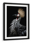 Grulla coronada dorada - Eiji Itoyama | Cuadro decorativo de Canvas Lab
