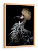 Grulla coronada dorada - Eiji Itoyama | Cuadro decorativo de Canvas Lab