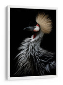 Grulla coronada dorada - Eiji Itoyama | Cuadro decorativo de Canvas Lab