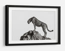 Guepardo en las rocas - ali | Cuadro decorativo de Canvas Lab