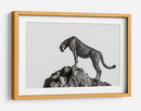 Guepardo en las rocas - ali | Cuadro decorativo de Canvas Lab