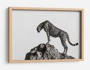 Guepardo en las rocas - ali | Cuadro decorativo de Canvas Lab