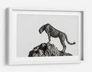 Guepardo en las rocas - ali | Cuadro decorativo de Canvas Lab