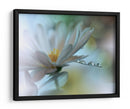 Gotas de rocío de flores blancas - Juliana Nan | Cuadro decorativo de Canvas Lab
