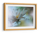 Gotas de rocío de flores blancas - Juliana Nan | Cuadro decorativo de Canvas Lab