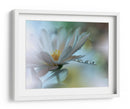 Gotas de rocío de flores blancas - Juliana Nan | Cuadro decorativo de Canvas Lab