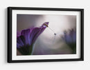Gota de rocío de flor púrpura - Silvia Spedicato | Cuadro decorativo de Canvas Lab