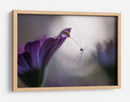 Gota de rocío de flor púrpura - Silvia Spedicato | Cuadro decorativo de Canvas Lab