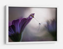 Gota de rocío de flor púrpura - Silvia Spedicato | Cuadro decorativo de Canvas Lab